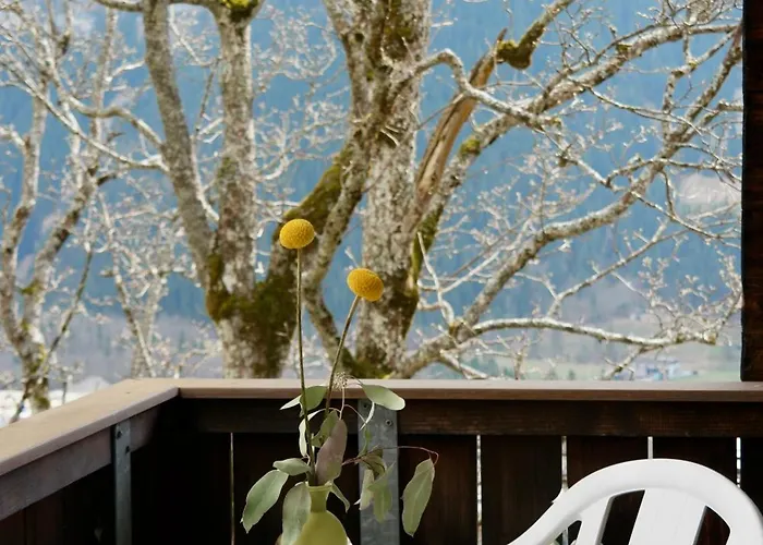 Sonnenberg גרינדלוולד