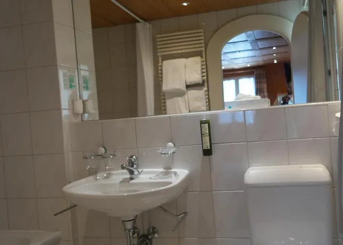 조넨버그 3* 그린델발트