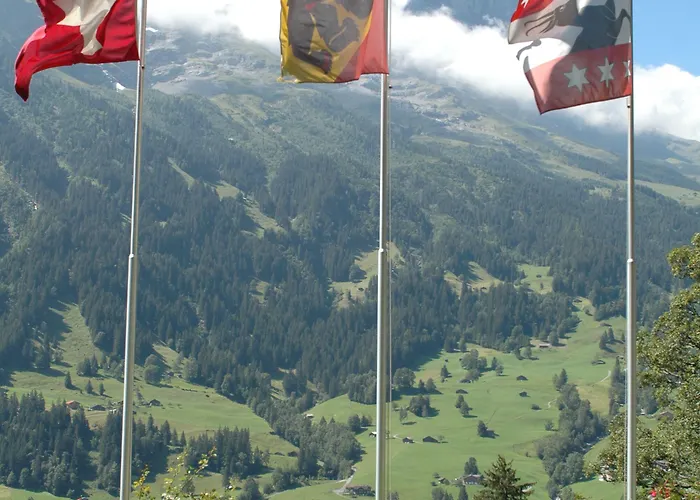 조넨버그 호텔 그린델발트