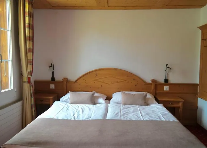 호텔 조넨버그 3*