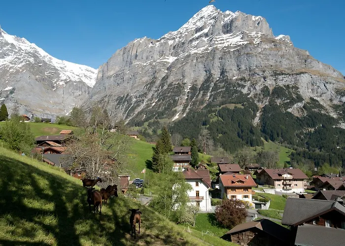 조넨버그 그린델발트