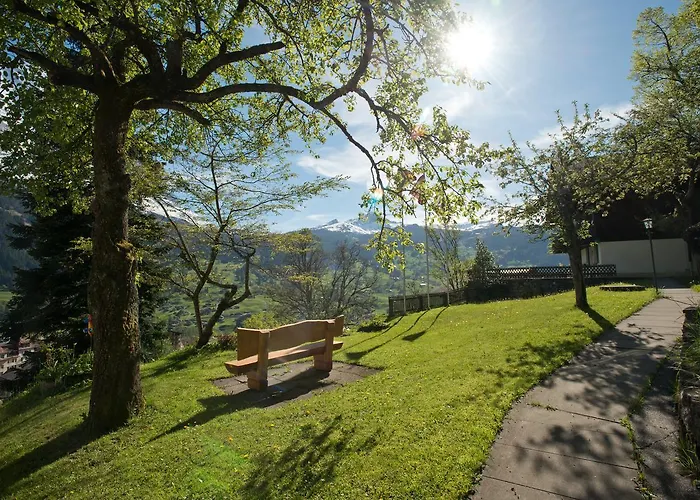 호텔 조넨버그 3*