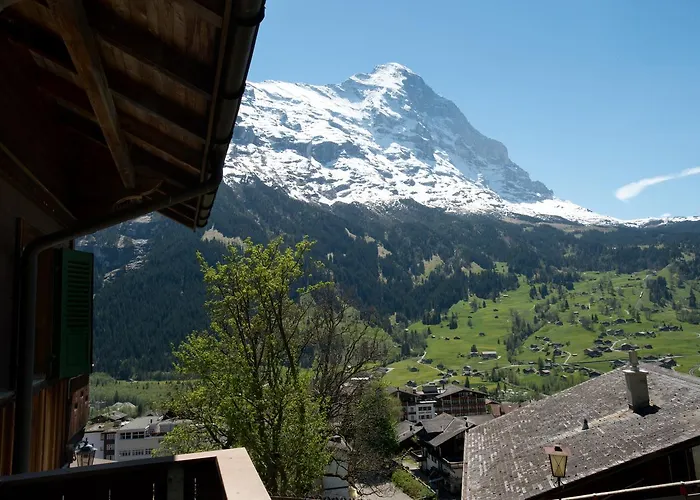 מלון Sonnenberg גרינדלוולד